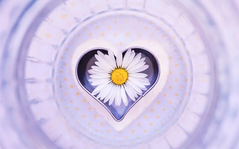 不能让你舒服的恋爱不叫恋爱