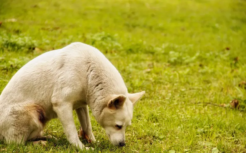 说到心坎里的一句话心情句子，说进人心的微信心语！