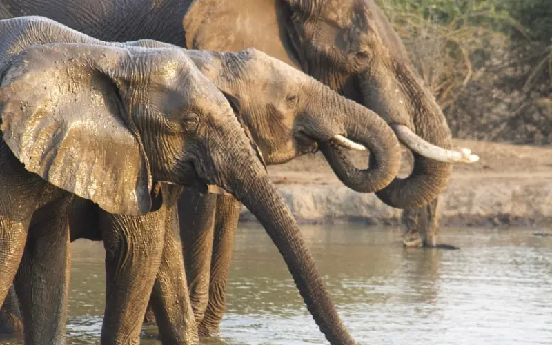 一曲《好想好想你》我又想你了！