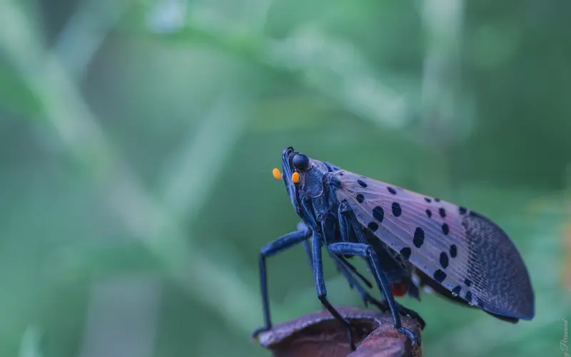 一个故事告诉你、什么叫做珍惜 !