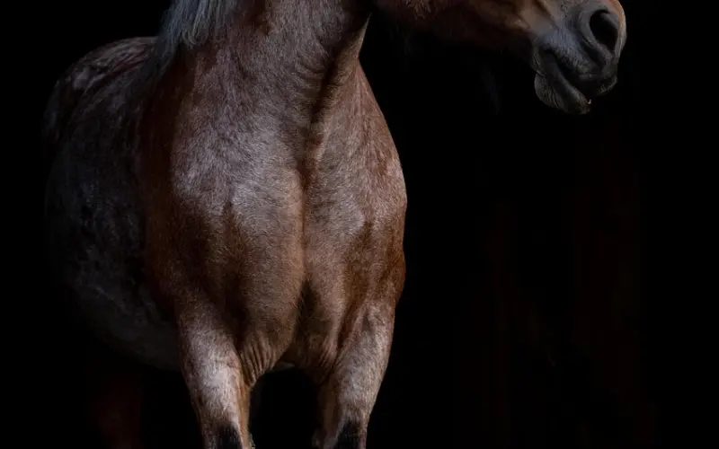 立挽爱学员自述分手挽回过程！