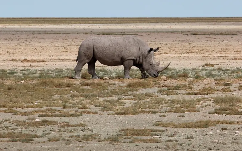 心累，最难治。