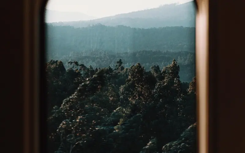 “没用”的男人，活该孤独终老