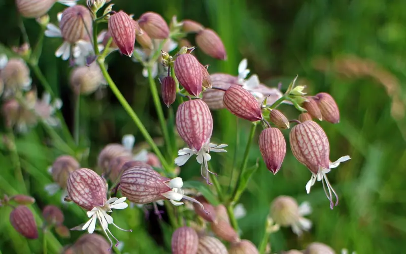 非常走心的一句话心情说说语 ，挑一句最符合你心情的发朋友圈！