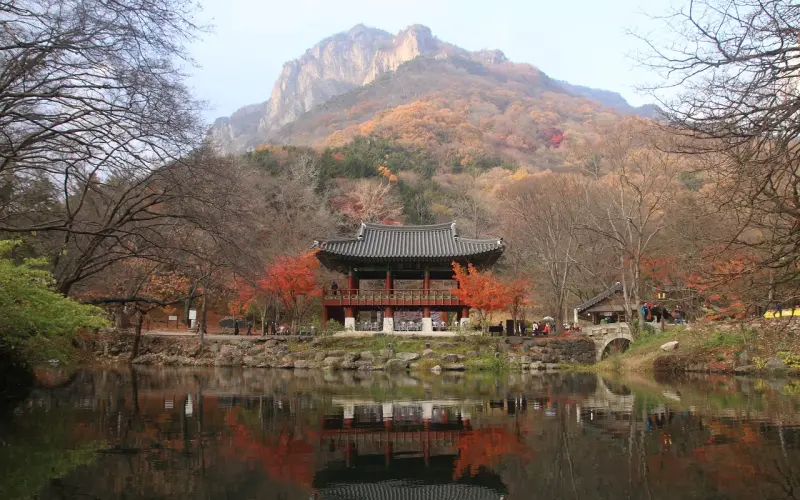 朋友圈很流行的一句说说经典句子，句句漂亮，越看越喜欢