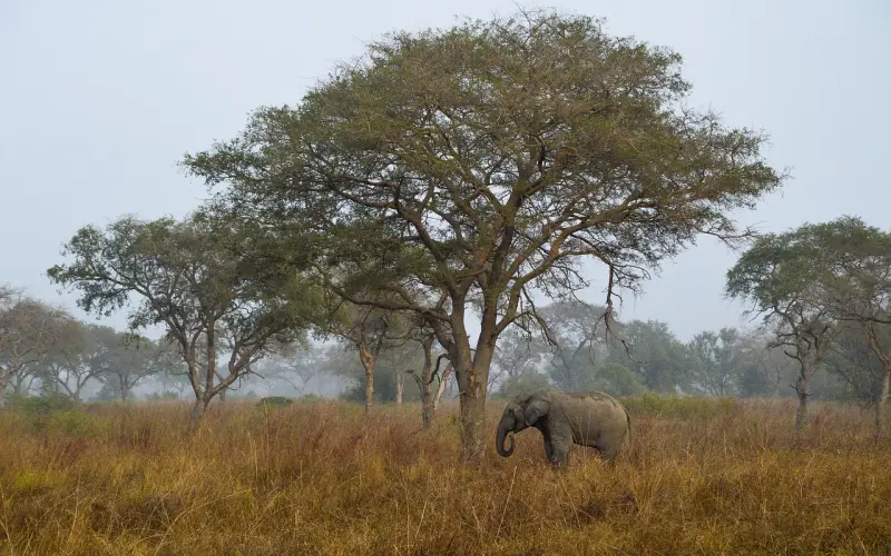 婚姻里的良性循环