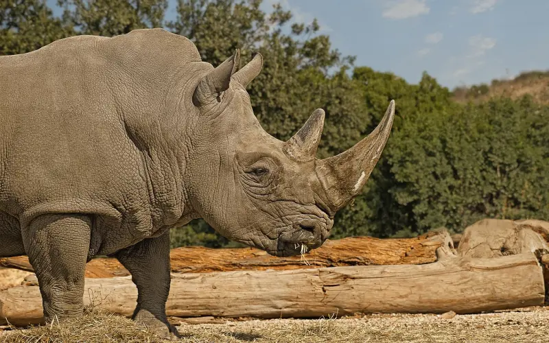 女人对你“情根深种”，才会偷偷给你这些动情“暗示性”！