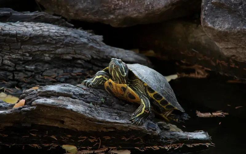女人占有欲太强 分手了要怎样挽回男友