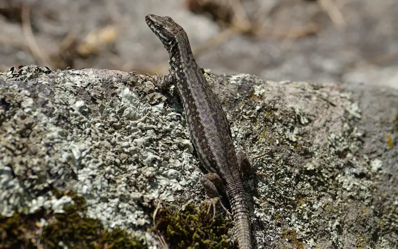 女人占有欲太强 分手了要怎样挽回男友