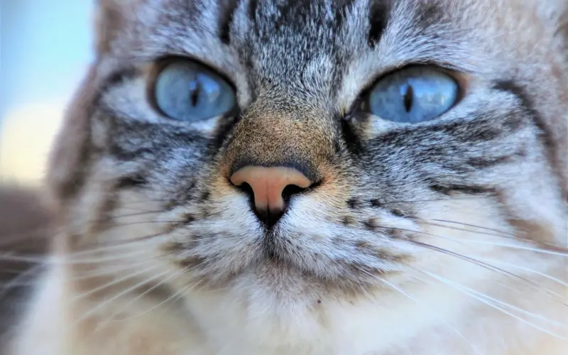 你这样的女人已经out了，被分手你还不知道