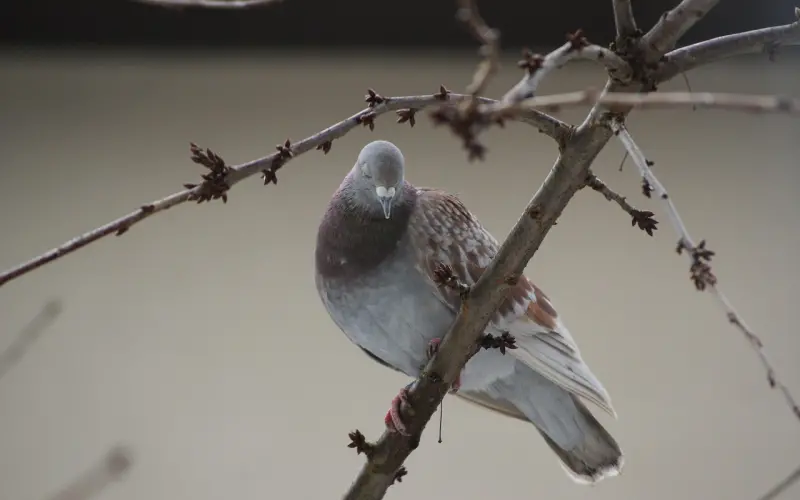 女人想跟你“告白”，这几种“暗示性”很真切！