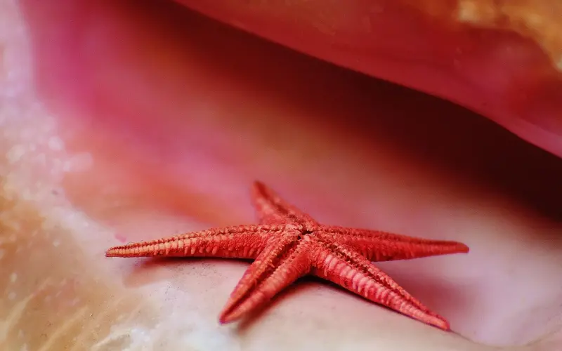 女人出轨后想要挽回老公？这一招很关键！