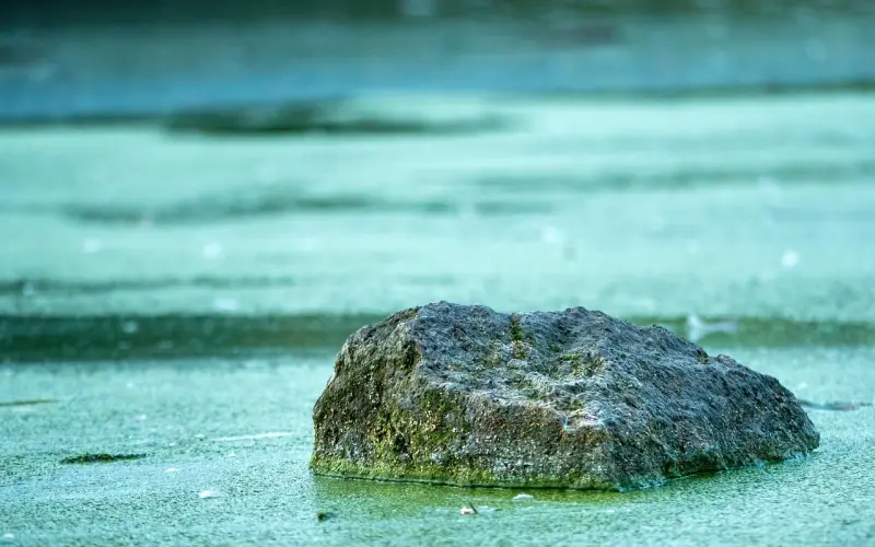 对你有意思的女人，才会给到你这4种暗示