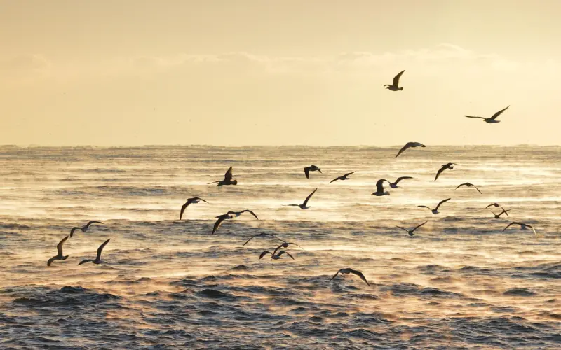 一个女人，让你触碰这几个隐私，很明显已经爱上你了