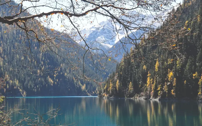 真正深爱着你的女人，不会舍得给你她这五样东西！