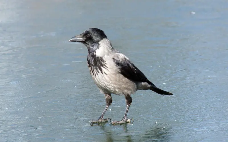 分手之后，男人不删你的用意，女人千万不要太自作多情