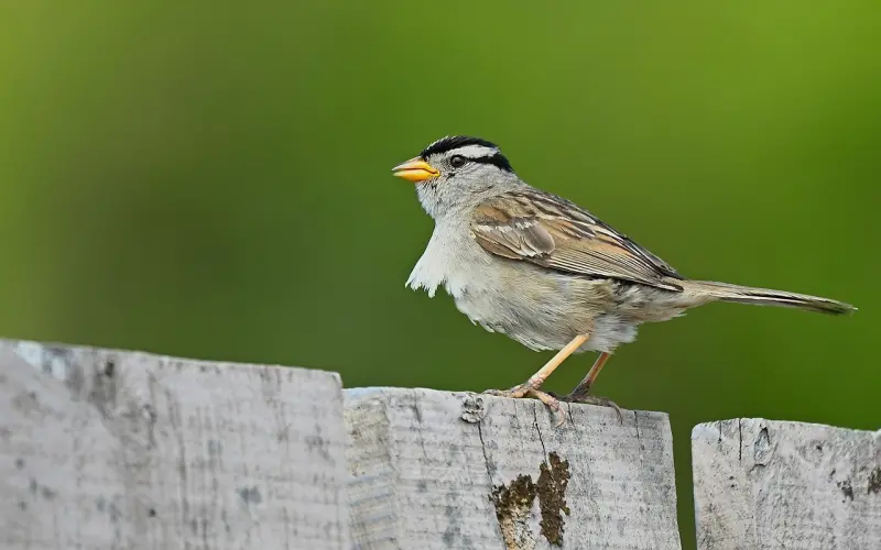 分手后是学习与了解，而不是补救