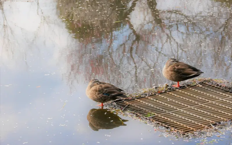 情侣分手后，那些感情中表现得过于卑微的女生，如何才能重新挽救感情？ ...