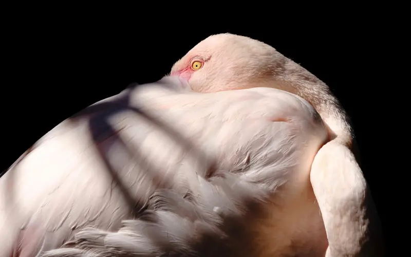 男人和女人发生关系后，床下感情会更美好吗？|Grace璐