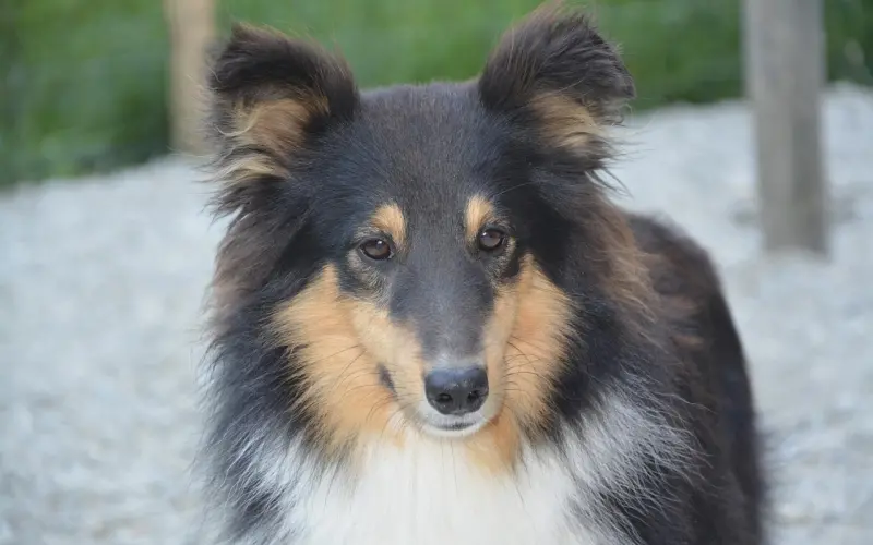 加上姑娘微信后，你第一句话得这么说......