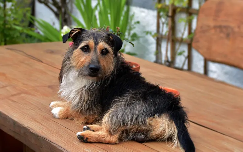 暧昧许久，她突然问我：“我们是友谊吗？”