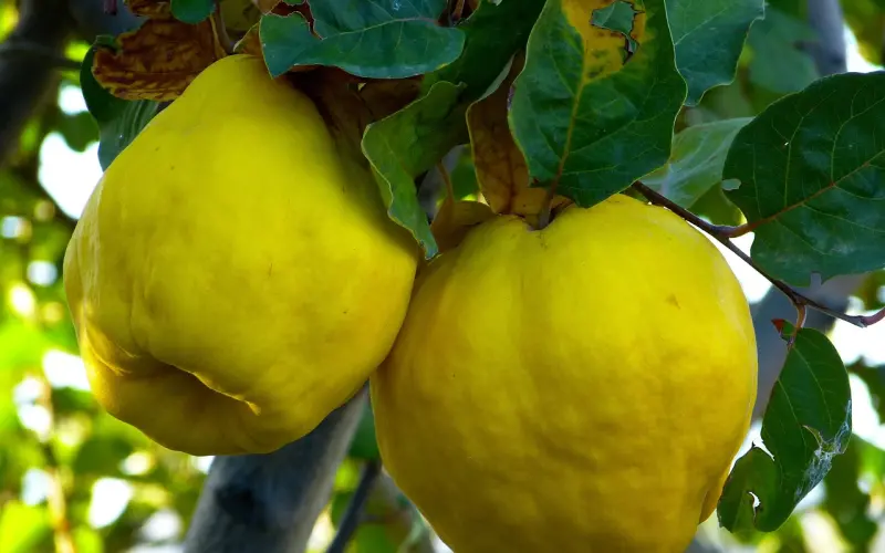 分手后，对方如果果决的做这几件事，很难再挽回了