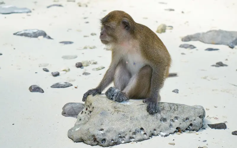 分手后，想让对方主动和你约会，你需要做到以下几点