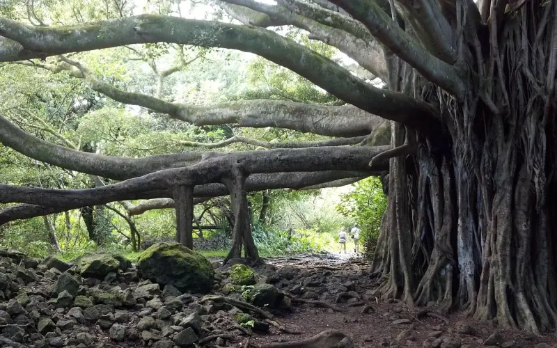 交往半年，为什么他总是不理我？