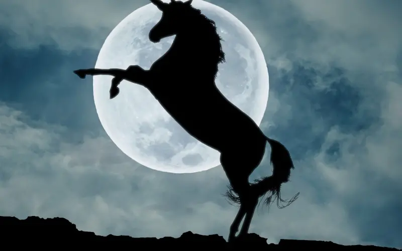 结婚八个月，就发现老公和其他女人撩骚，该怎么办？