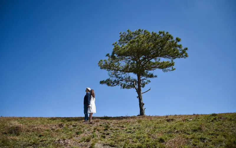 热恋过后，如何度过平淡期，情感咨询师告诉你方法