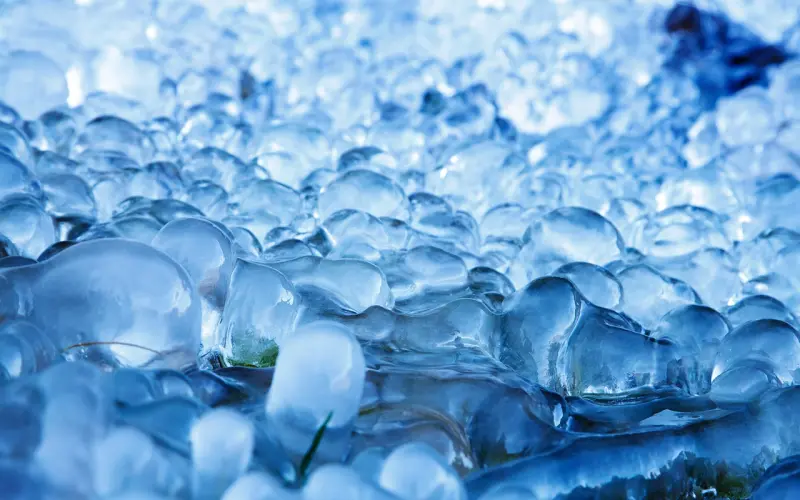 失恋后，还需要冷冻女生？