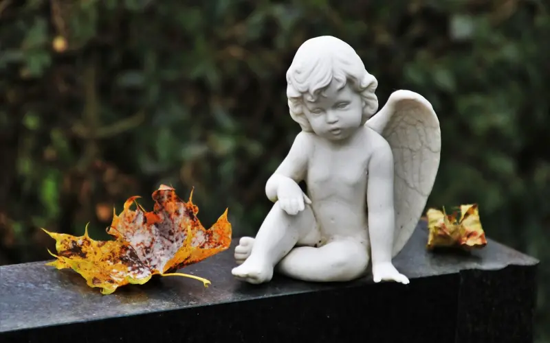 原谅出轨的老公后，换来了一场更痛的背叛