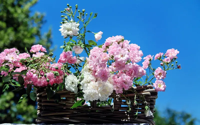 结婚之后，原来这件事比老公出轨更可怕