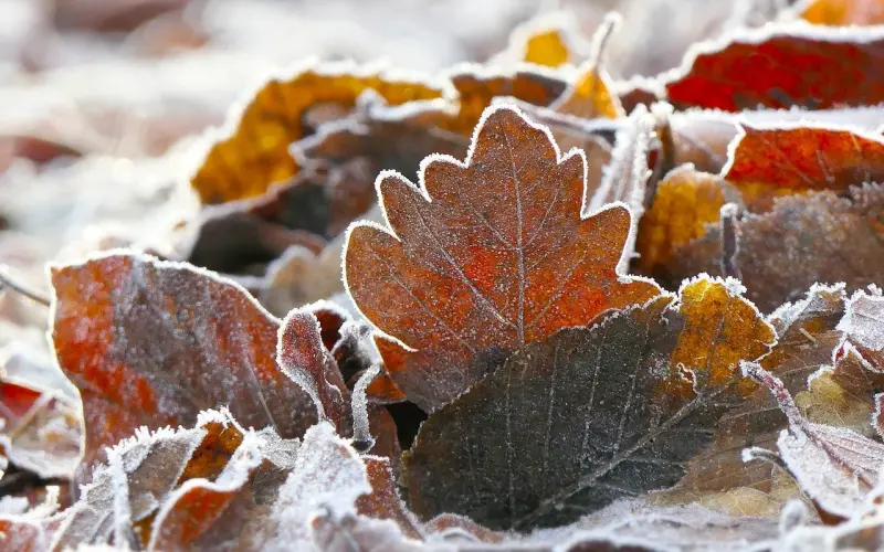 恋爱六年多男友态度越来越差 这份感情还能走下去吗