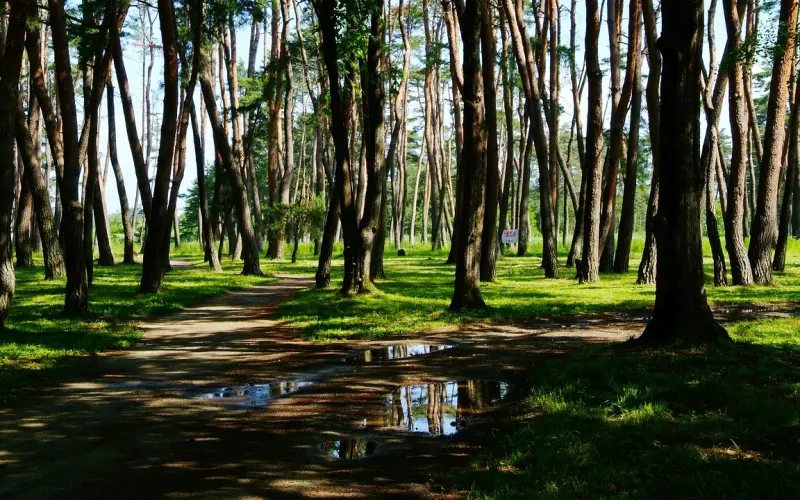 女友绝情分手后，我这么做她乖乖回来了