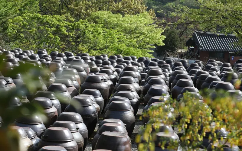 看完了，你就什么都想通了