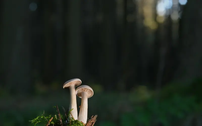 看完这4条，追到男神只是小case