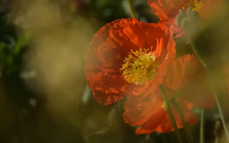 看完这篇，你能更准确地猜到另一半的想法