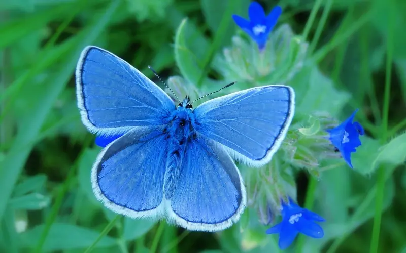 发错信息还被回复，分手后如何试探对方口风挽回爱情