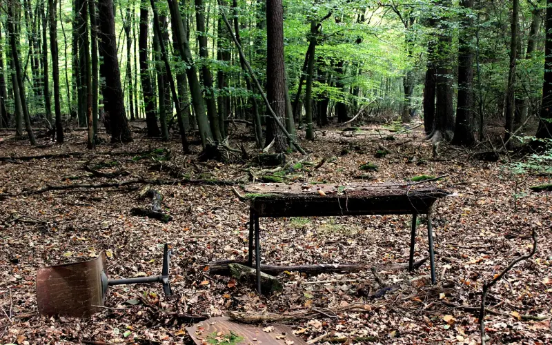 和女生上床了以后？爱到底应该怎么做爱！