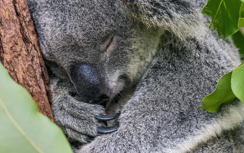 和男友说我有个备胎之后……