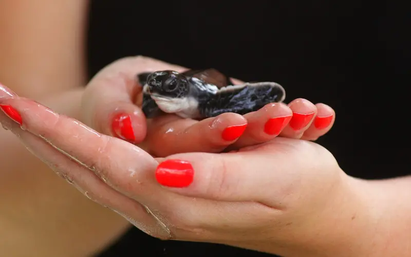 结婚十年，我们一直在为同一件事争吵不休……