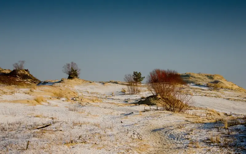 妥协后的赶尽杀绝！——「全民情敌 · 65章」