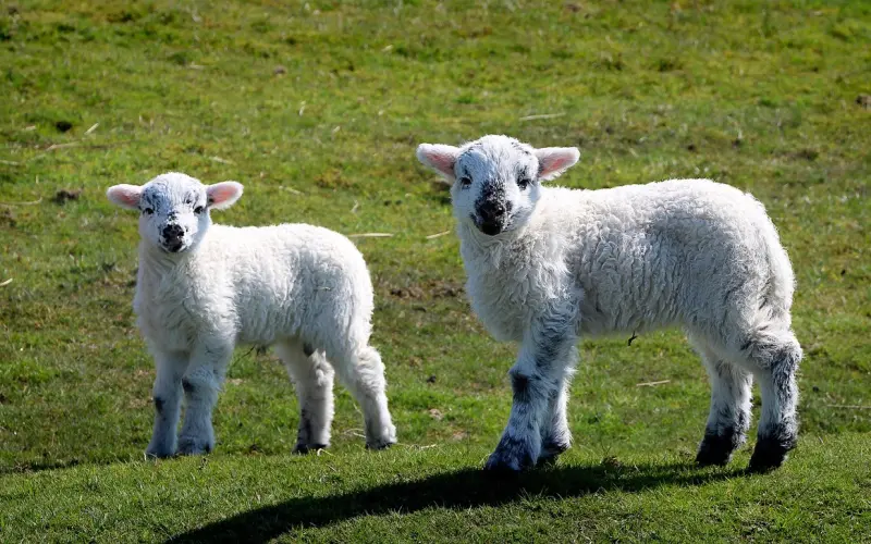 关灯后，夫妻“越做越爱”的动作，尤其第2招让女人无法自拔！