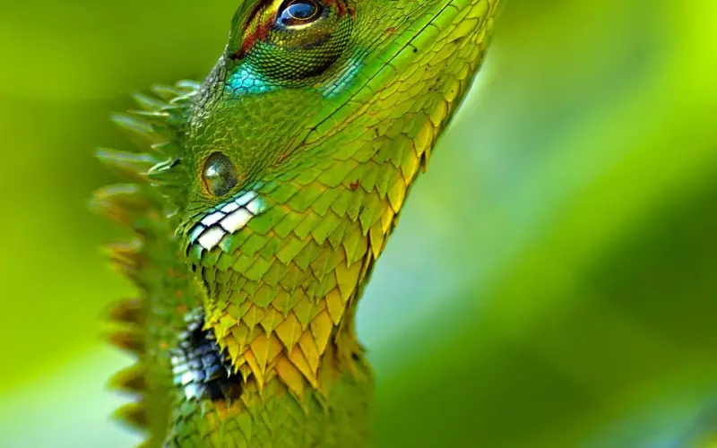 啊啊啊好恨，渣男凭什么心安理得地幸福！