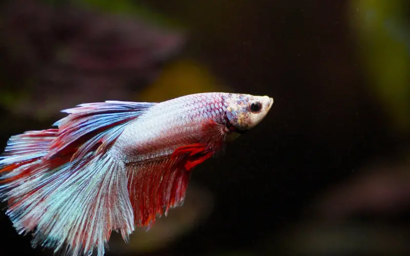 警惕！这五种男人爱对已婚女下手