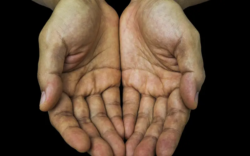 所有遇见，都是一场命中注定（好美）