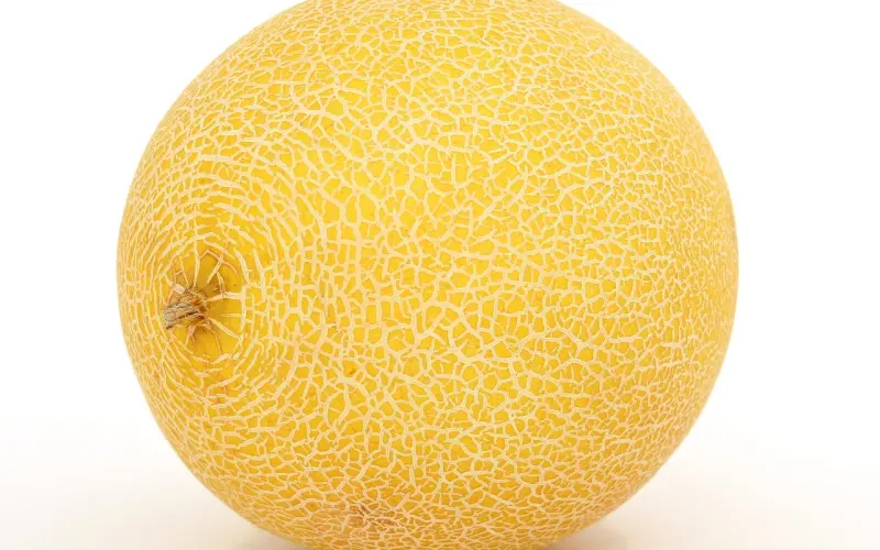 所有甜到齁的爱情，都有这个特质