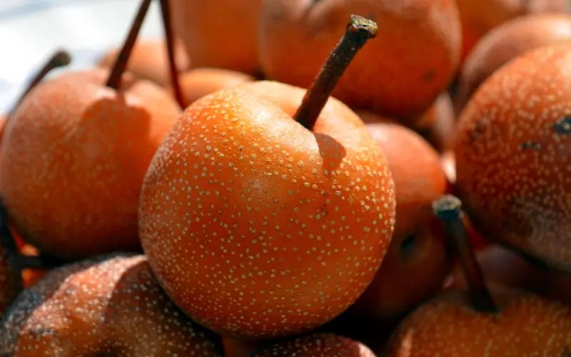 所有关系变淡的原因，她想要苹果而你只给她梨