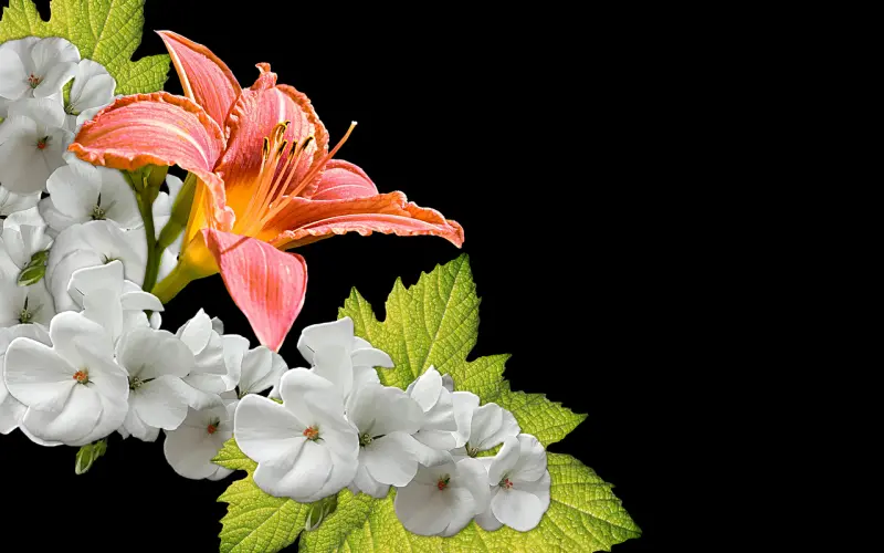 这几件虽是小事，却能给你定大罪。你一定要知道的法律常识